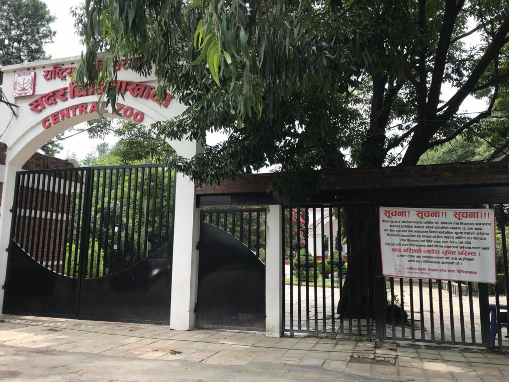 कहिले खुल्ने अझै निश्चित भएन चिडियाखाना