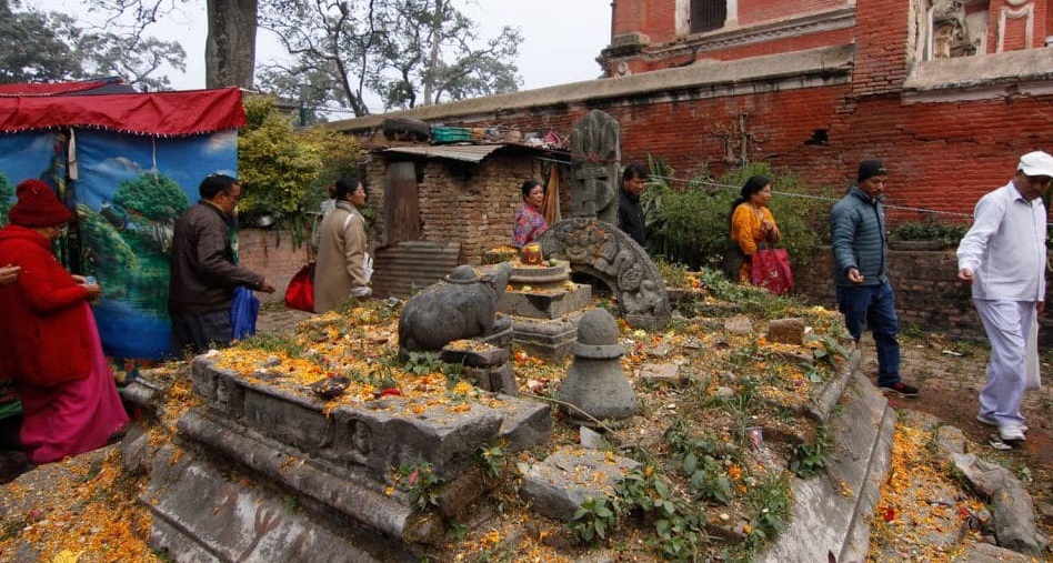 सरकारले रोक लगाए पनि पशुपतिमा शतबीज छर्नेको लाग्यो घुईंचो