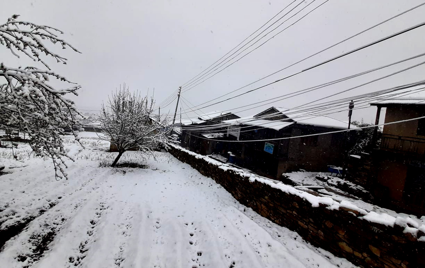 हुम्लामा व्यापक हिमपात, काठमाण्डौसहित देशका केही स्थानमा वर्षा