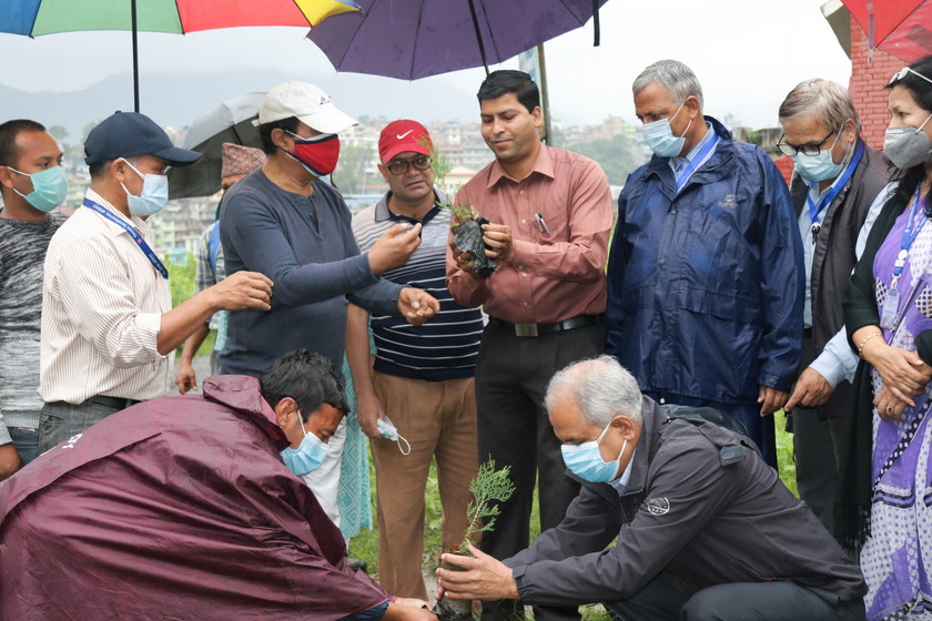 ग्लोबल आइएमई बैंक र त्रिभुवन विश्वविद्यालय क्याम्पसबीचको सहकार्यमा वृक्षारोपण