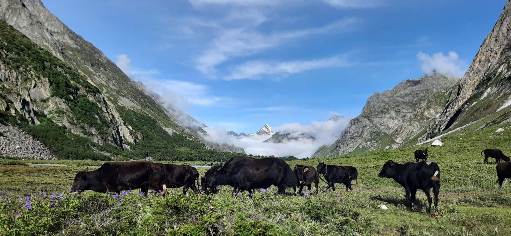 पर्यटकको पर्खाइमा टाँके भ्याली (तस्वीरसहित)