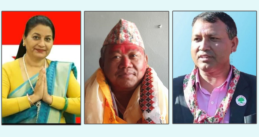 कांग्रेस सहमहामन्त्रीमा महिलामा डिना, जनजातिमा भीष्मराज र दलितमा जीवन परियार निर्वाचित