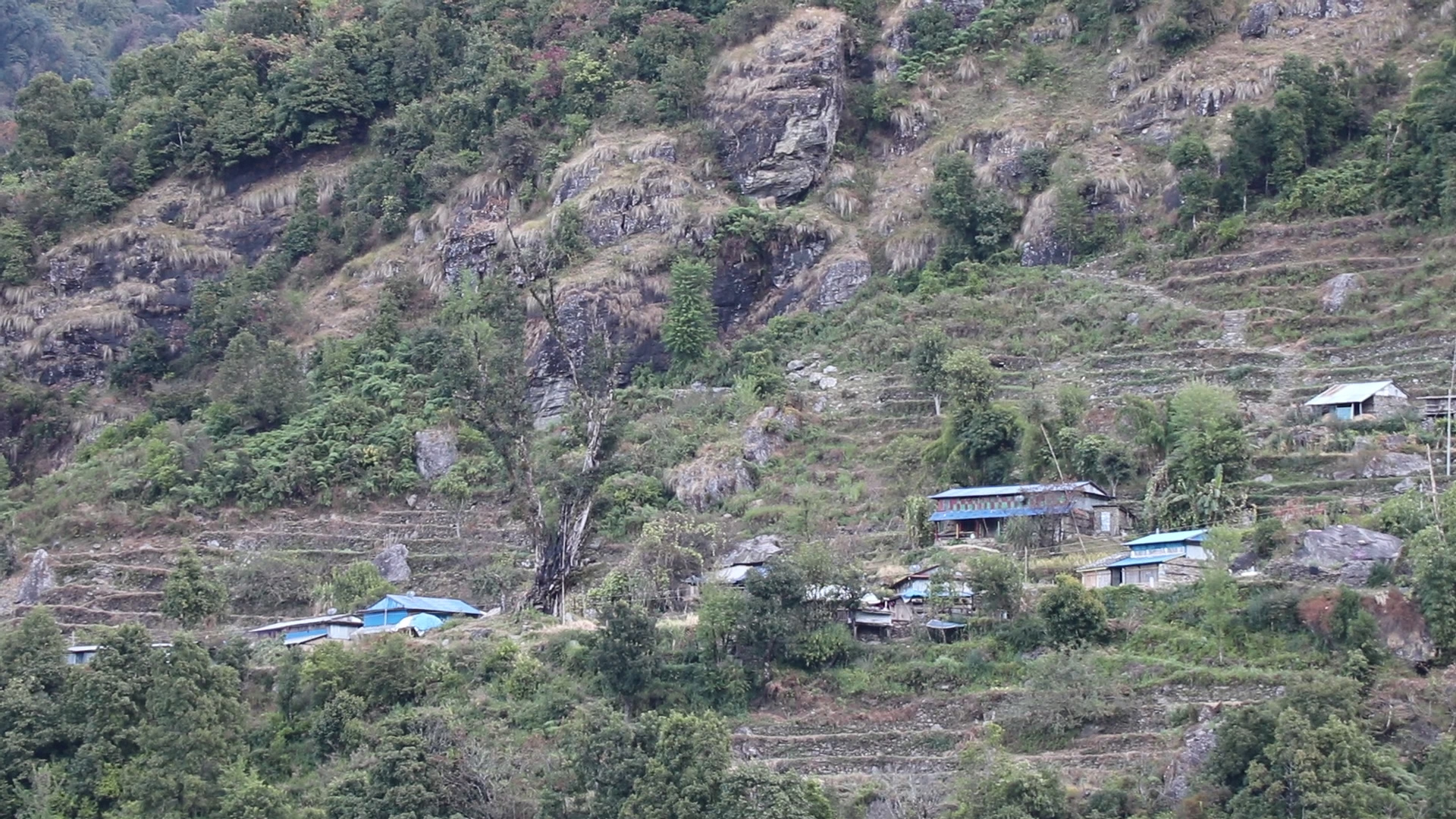 जीवन धान्न धौ-धौ भएपछि बस्ती नै खाली गरेर विदेशिन्छन धादिङ क्युङ्गका स्थानीय