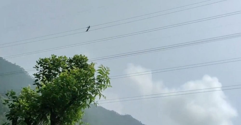 ककनीबाट प्रसारण लाइनमा चढेका विकको ९ घण्टापछि नेपाली सेनाद्वारा सकुशल उद्धार