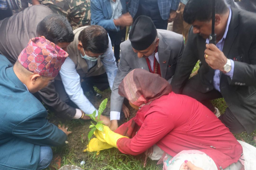 खाँदबारी नगरपालिका र काठमाडौ महानगरपालिकाका मेयरले गरे पशुपति क्षेत्रमा बृक्षारोपण