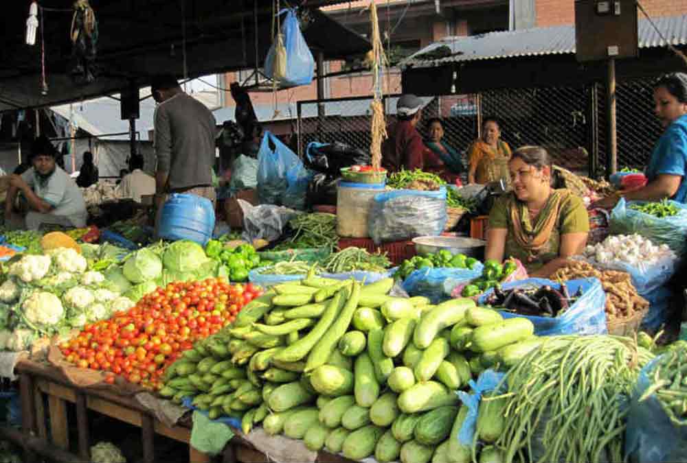 थोक बजार केन्द्र खुलेपछि कृषक उत्साही