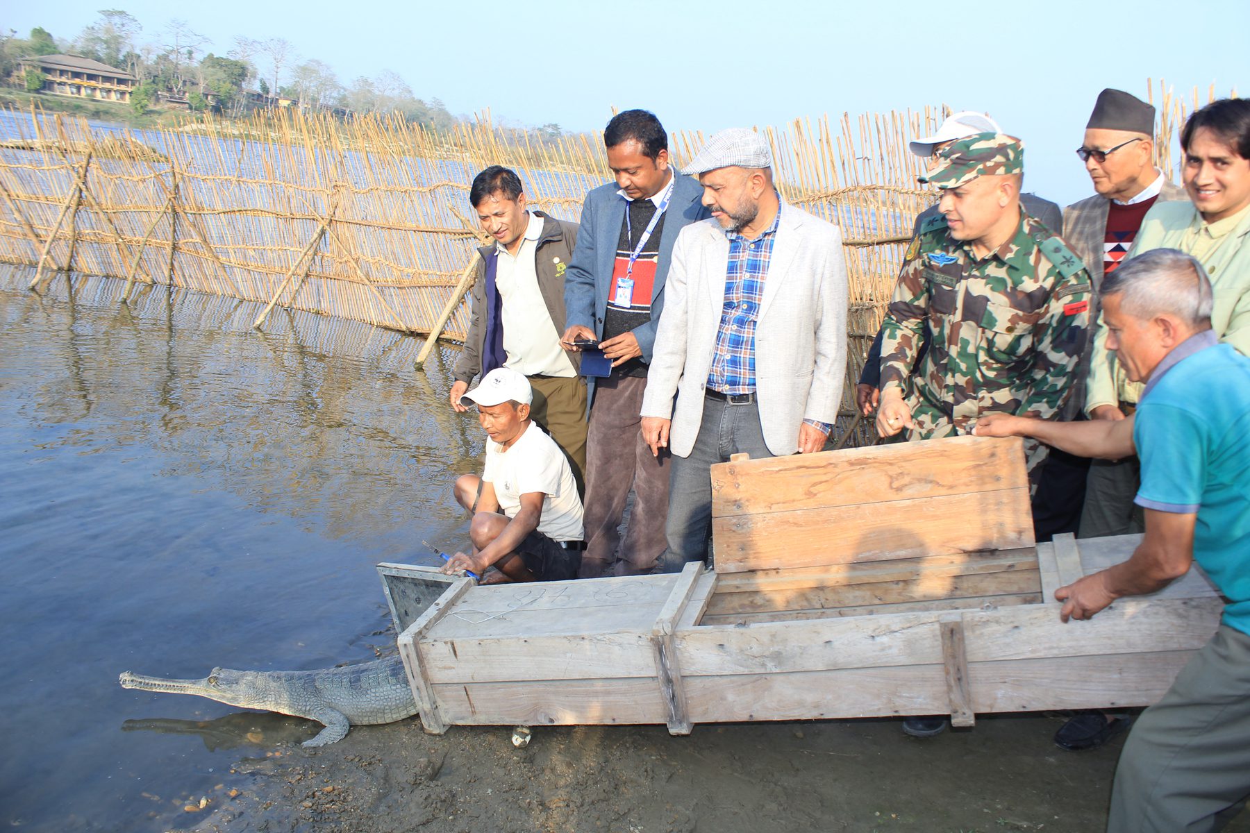 प्रजनन केन्द्रमा हुर्किएका २० गोही नदीमा छाडियो