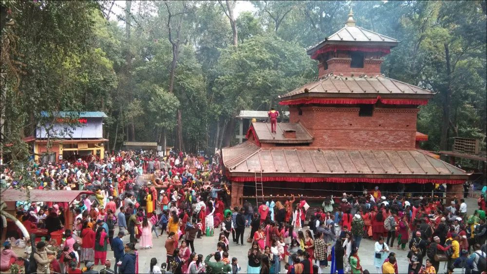 आज चैतेदशैँ, देवीको उपासना गरी मनाइँदै