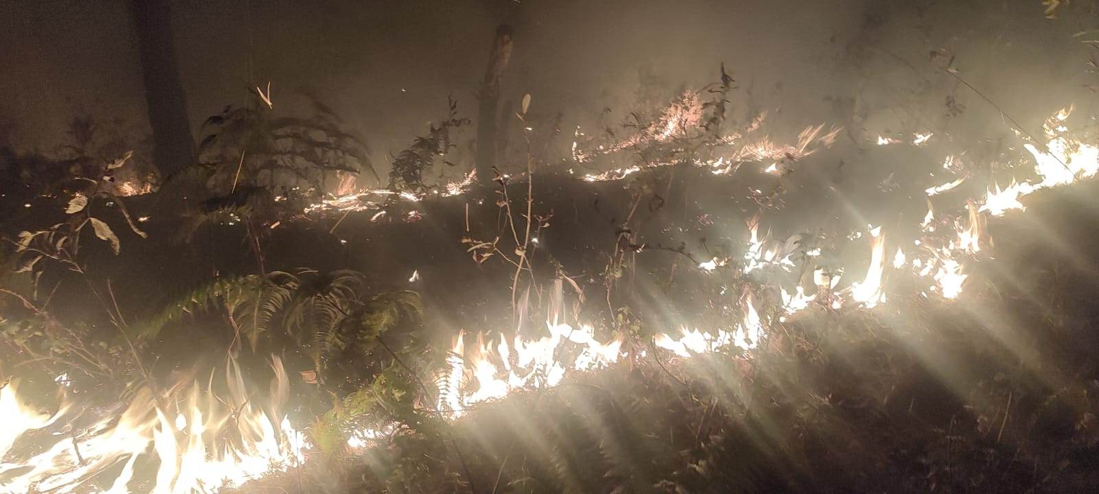 गोरखा दरवार क्षेत्रको राष्ट्रिय वनमा लागेको डढेलो नियन्त्रणमा आएन
