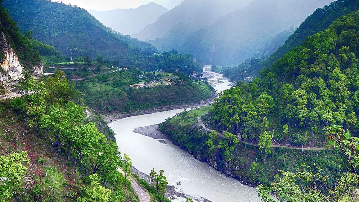 महाकाली करिडोर निर्माणका लागि कञ्चनपुरमा झण्डै दुई हजार रुख काट्न सुरु