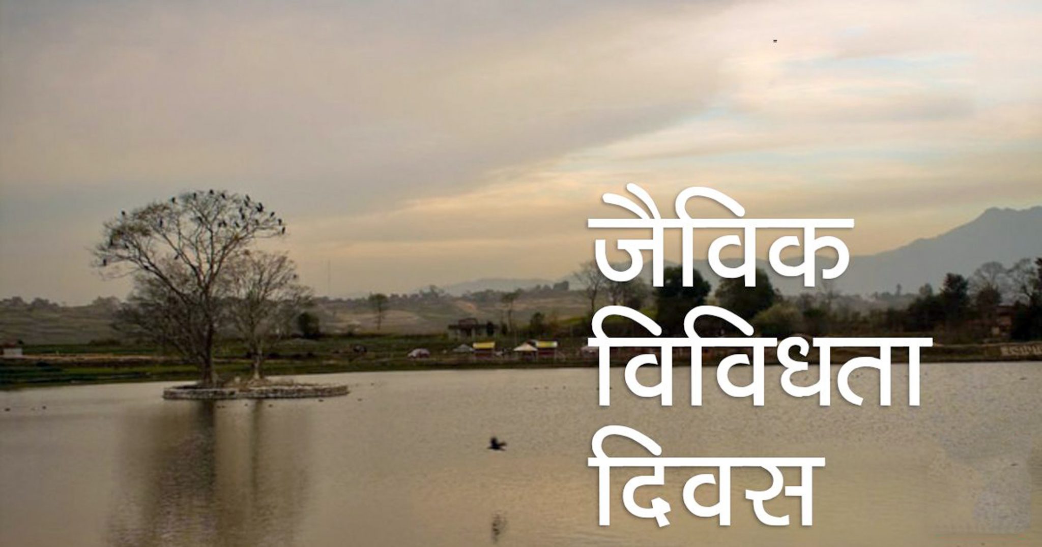 आज जैविक विविधता दिवस