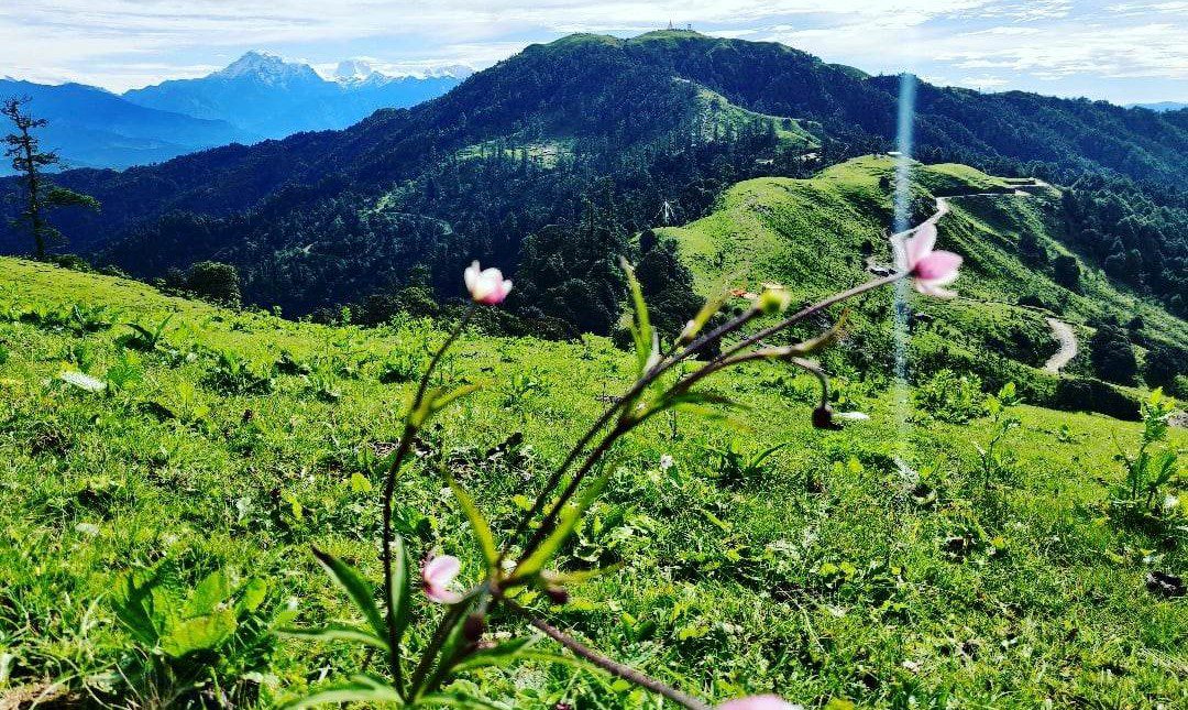 शैलुङ : प्रकृतिको अनुपम छटासँग रमाउन चाहनेहरुका लागि मनमोहक गन्तव्य