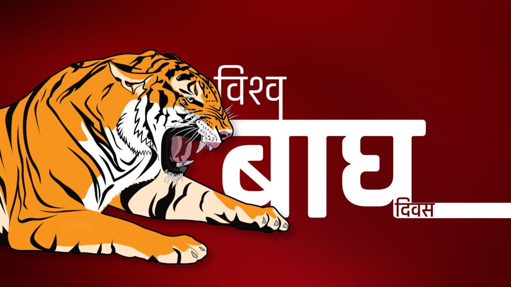 नेपालमा पाटे बाघको संख्या तीन गुणाले बढ्यो