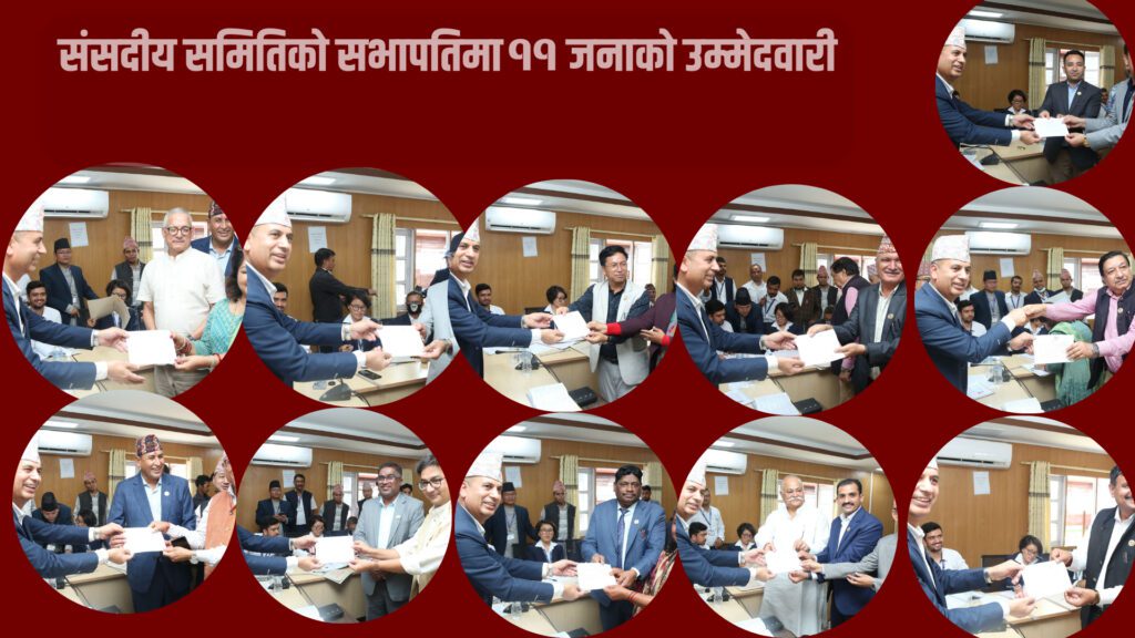 संसदीय समितिको सभापतिमा ११ जनाको उम्मेदवारी : रास्वपाको छुट्टै, राप्रपा गठबन्धनमा मिसियो
