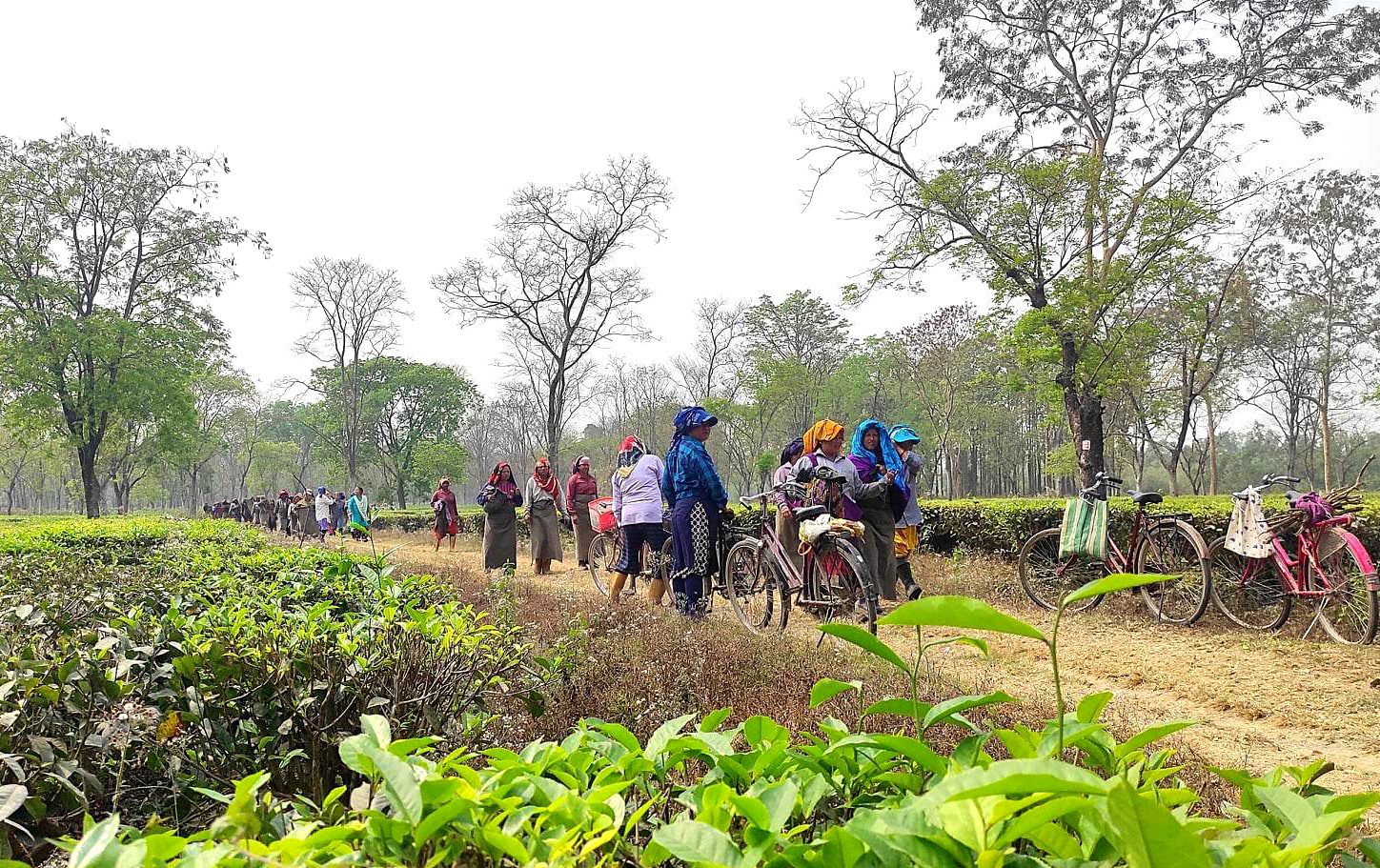 श्रमिकका लागि कार्यस्थलको सुरक्षामा जोड