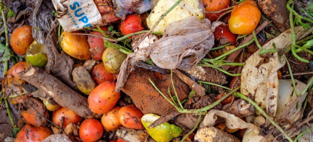 भोको विश्वमा खेर जाने खाना, अधिकांश खाद्यान्न बर्बाद घरपरिवार भित्रै
