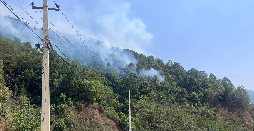 गोदावरी नगरभित्रका वनमा लागेको डढेलो नियन्त्रण बाहिर, एक जनाको मृत्यु