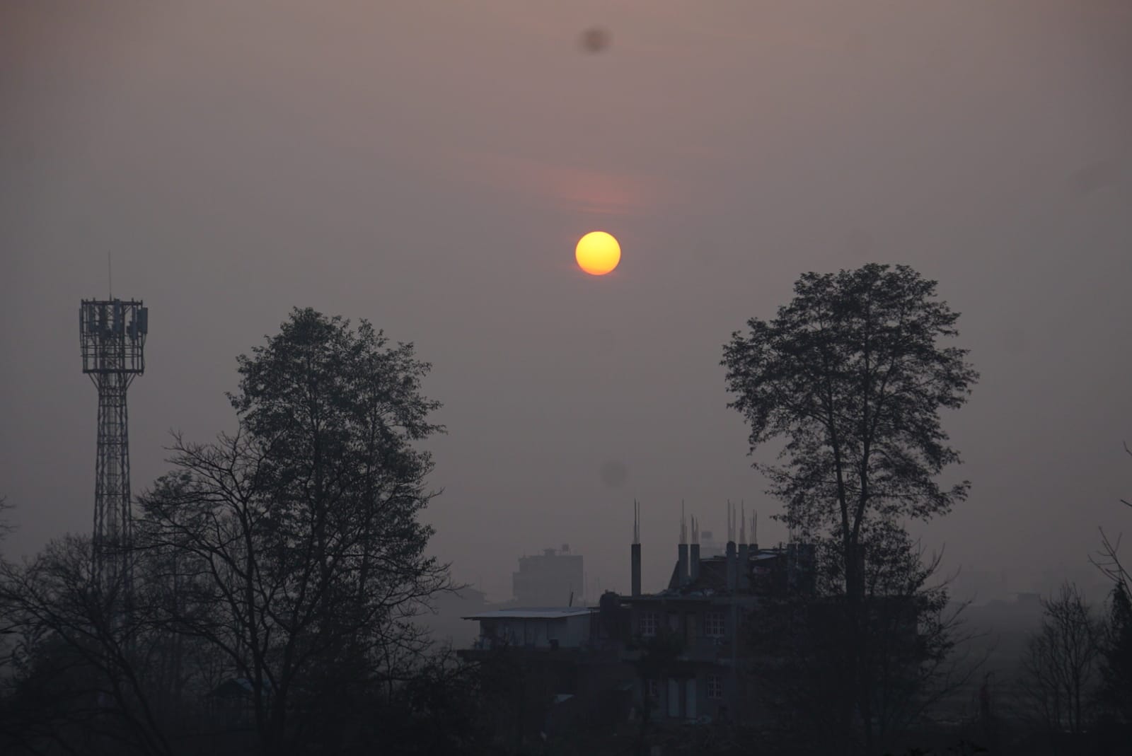 आजबाट नयाँ वर्ष सुरु, २०८१ को जेठो दिन