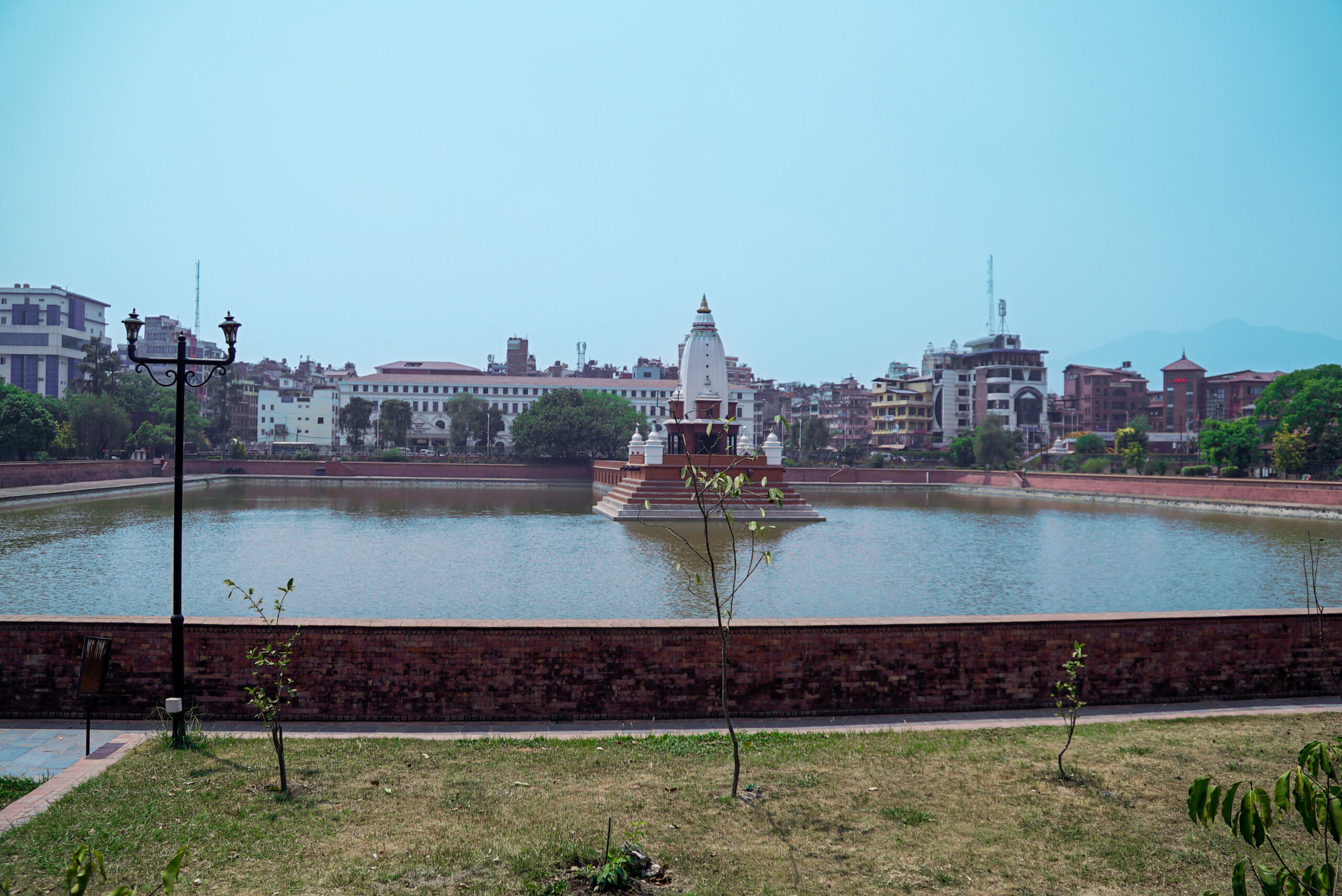काठमाडौंमा नीरफूलको याम (फोटो फिचर)