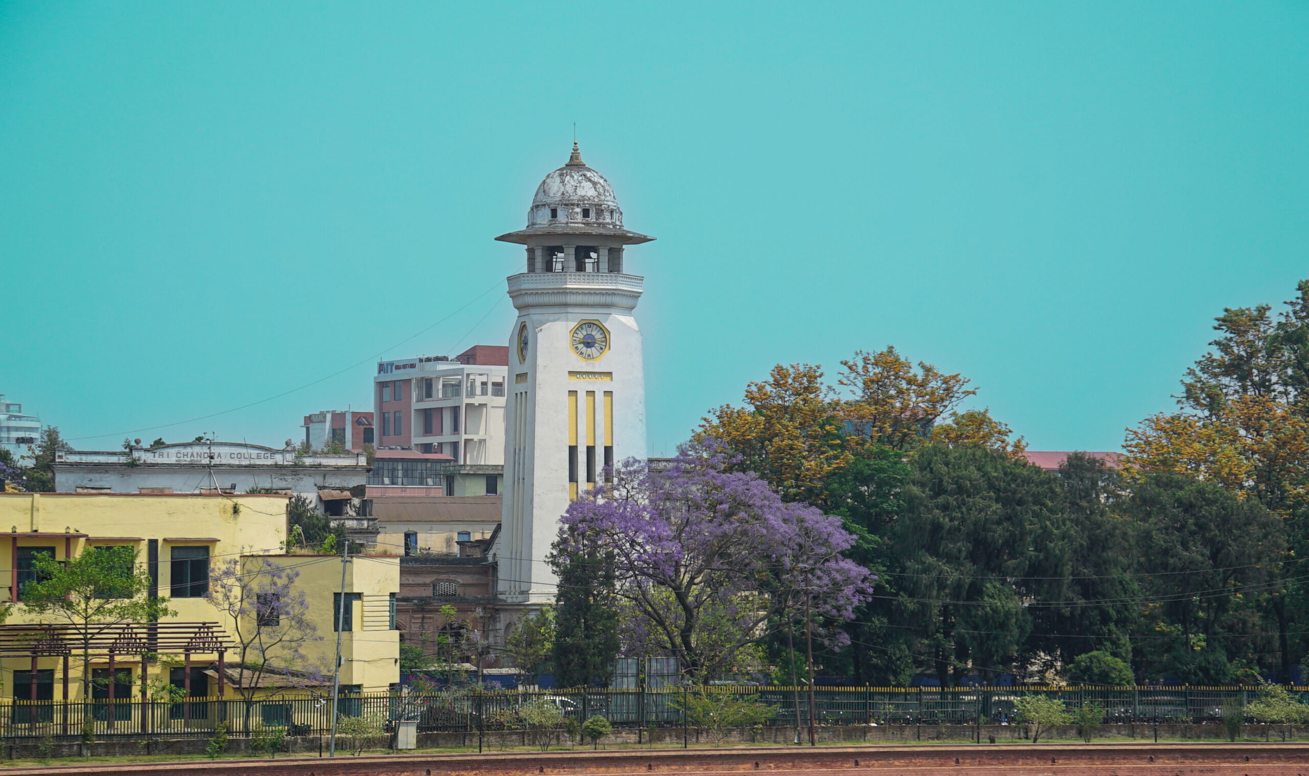 काठमाडौंमा नीरफूलको याम (फोटो फिचर)