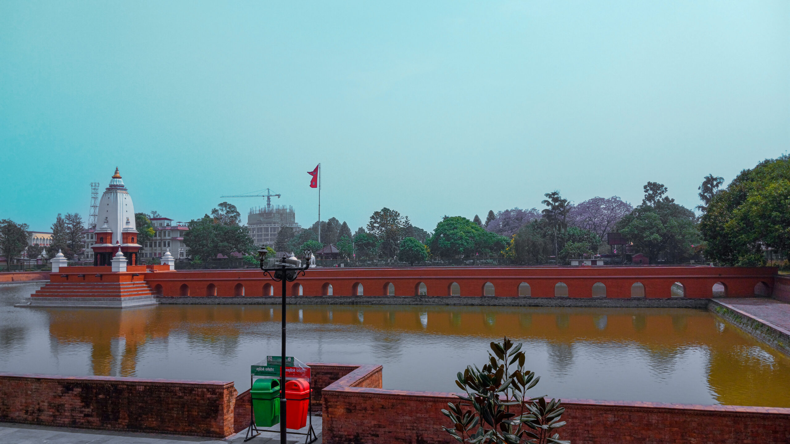 काठमाडौंमा नीरफूलको याम (फोटो फिचर)