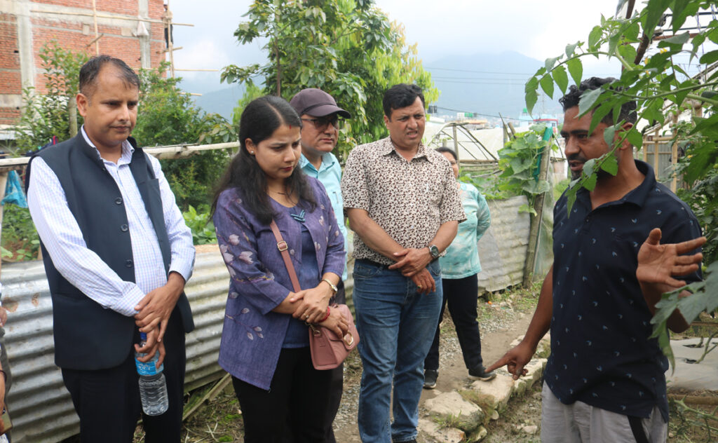 सरकारी अनुदान पाएका उपत्यका कृषकमा देखियो उत्साह