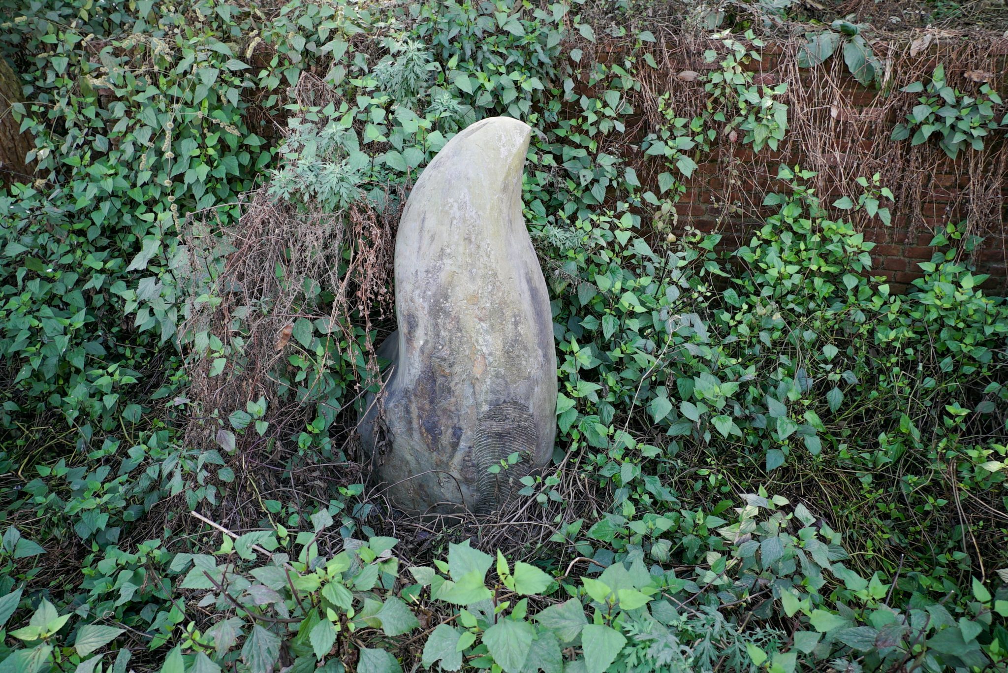 सरकारलाई गिज्याइरहेको कीर्तिपुरको ‘गर्विलो इतिहास’ (तस्विरहरु)
