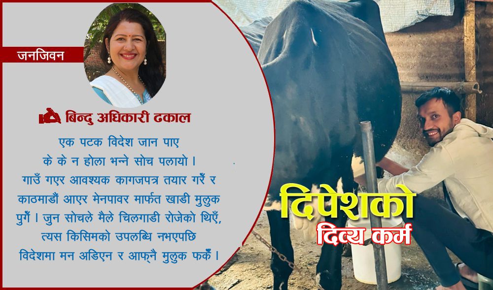गाईगोठमा भविष्य खोजिरहेका दिपेश भन्छन- ‘सोचेजस्तो उपलब्धि नभएपछि विदेशमा मन अडिएन’