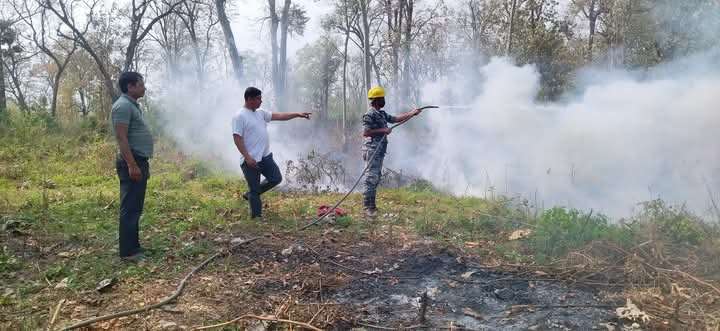 रौतहटका वन जङ्गलमा डढेलोको प्रकोप, मानव बस्ती जोखिममा