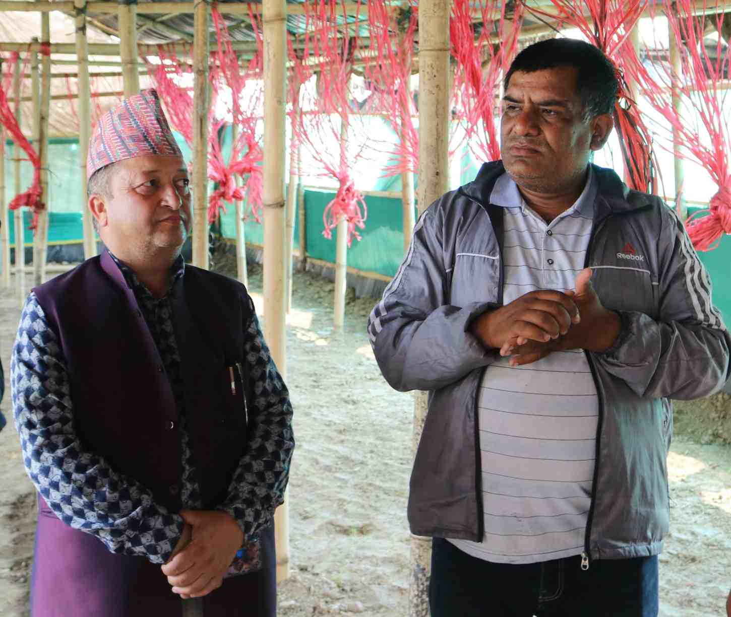 सरकारी अनुदान पाएका काठमाडौका कृषक भन्छन–‘कृषि कर्ममा लाग्न उर्जा मिलेको छ’