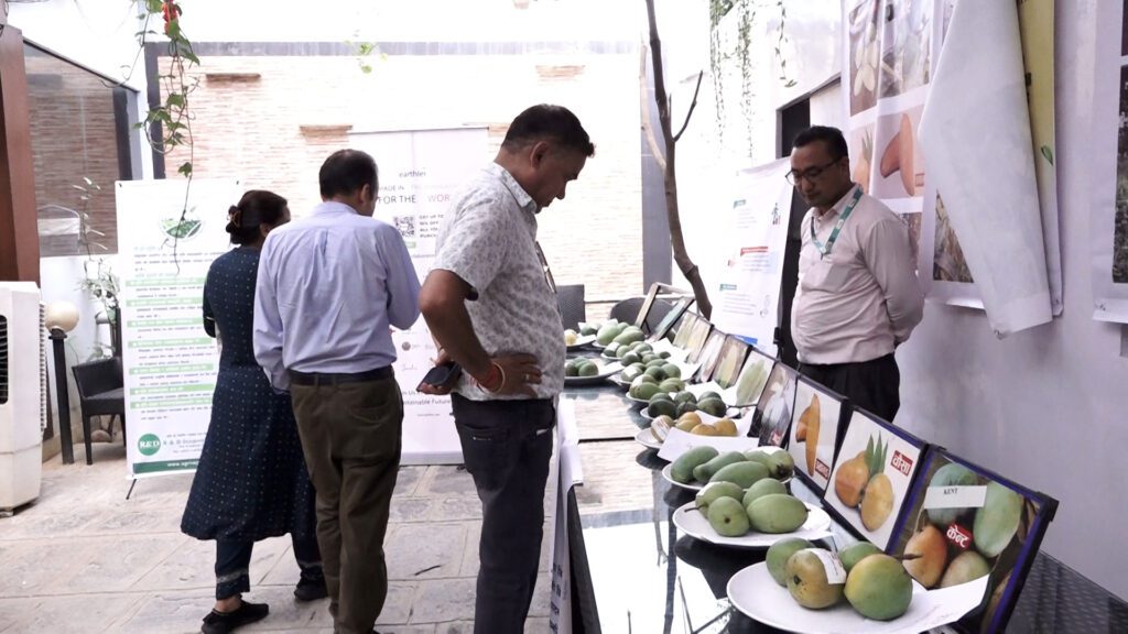 भारतीय आँपका कारण नेपाली व्यवसायीलाई चिन्ता, स्वदेशी उत्पादनको प्रर्वद्धन गर्न माग