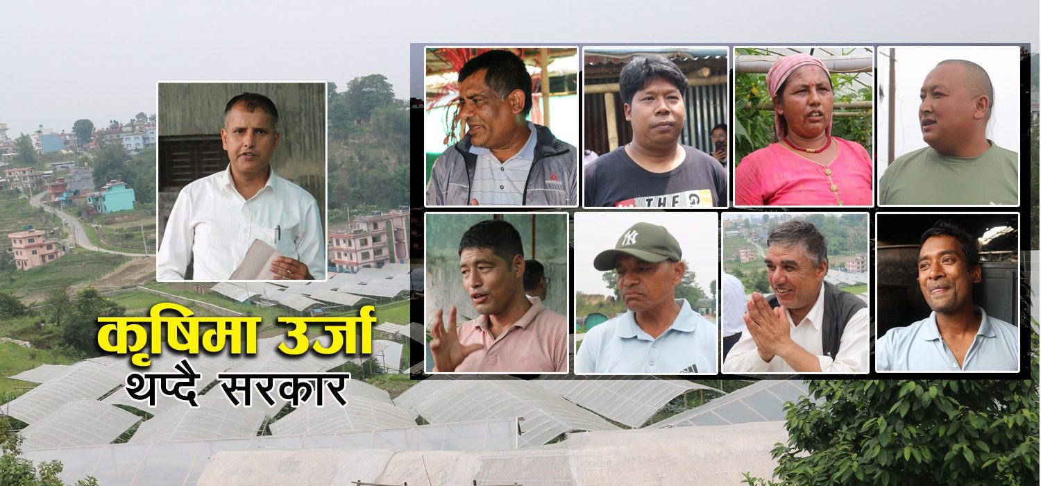 सरकारी अनुदान पाएका काठमाडौका कृषक भन्छन–‘कृषि कर्ममा लाग्न उर्जा मिलेको छ’