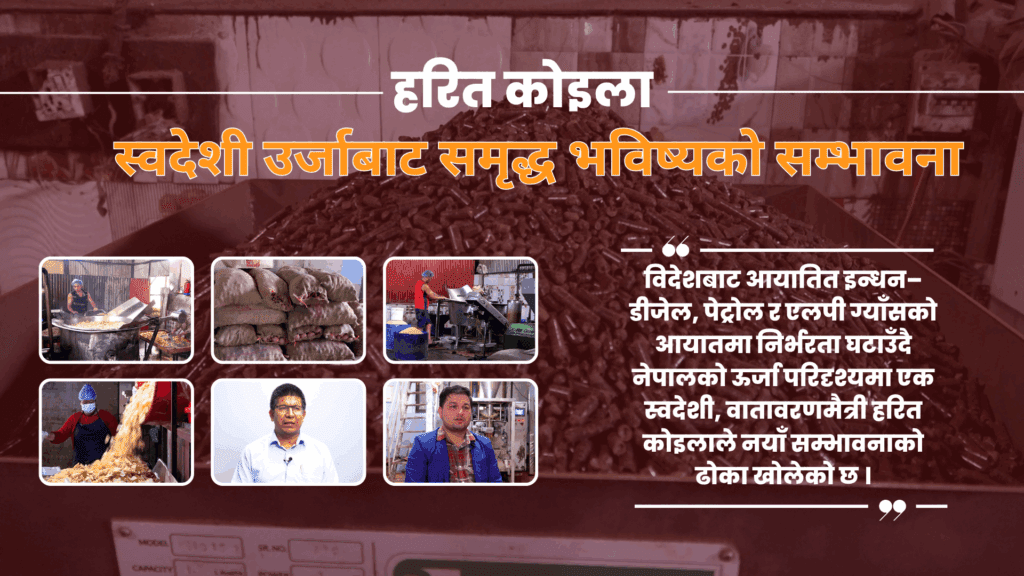 हरित कोइला : स्वदेशी उर्जाबाट समृद्ध भविष्यको सम्भावना