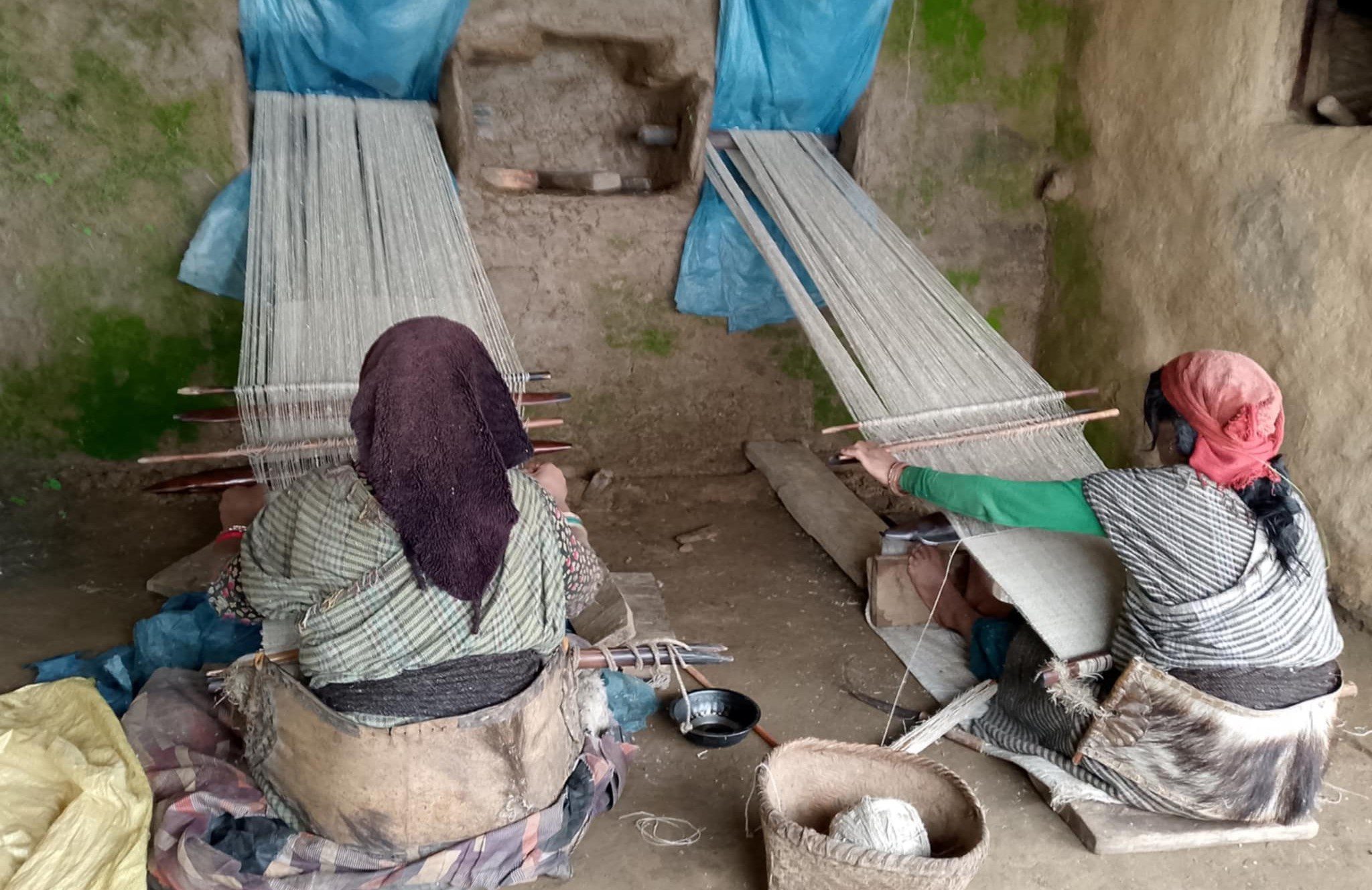राडीपाखी व्यवसाय आत्मनिर्भरको माध्यम बन्दै, बजार र चरनको अभाव कायमै