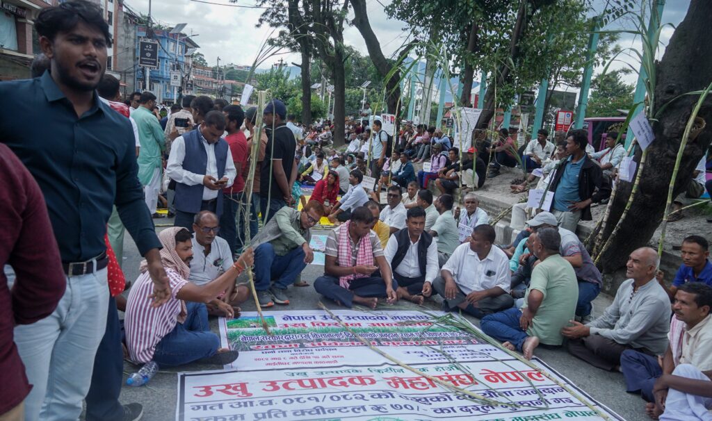 उखु किसान फेरि सडकमा, उखु बोकेर माइतिघरमा बसे धर्ना