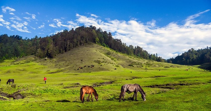 दशैँ–तिहारमा घुम्नका लागि १० उत्कृष्ट गन्तव्य