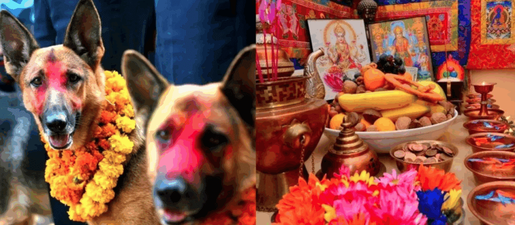 तिहारको तेस्रो दिनः आज लक्ष्मी पूजा र कुकुर तिहार मनाइँदै