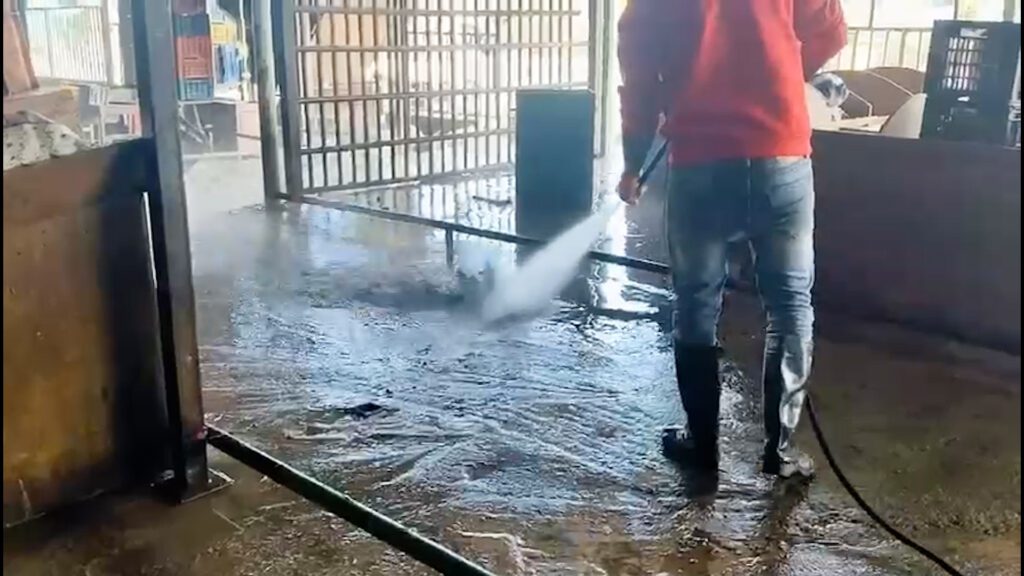 काठमाडौँका बाढीपीडित क्षेत्रमा सफाइ जारी