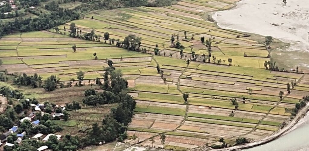 बेमौसमी वर्षा : किसानको काटेको धान डुब्यो, कोदो बालीमा पनि क्षति