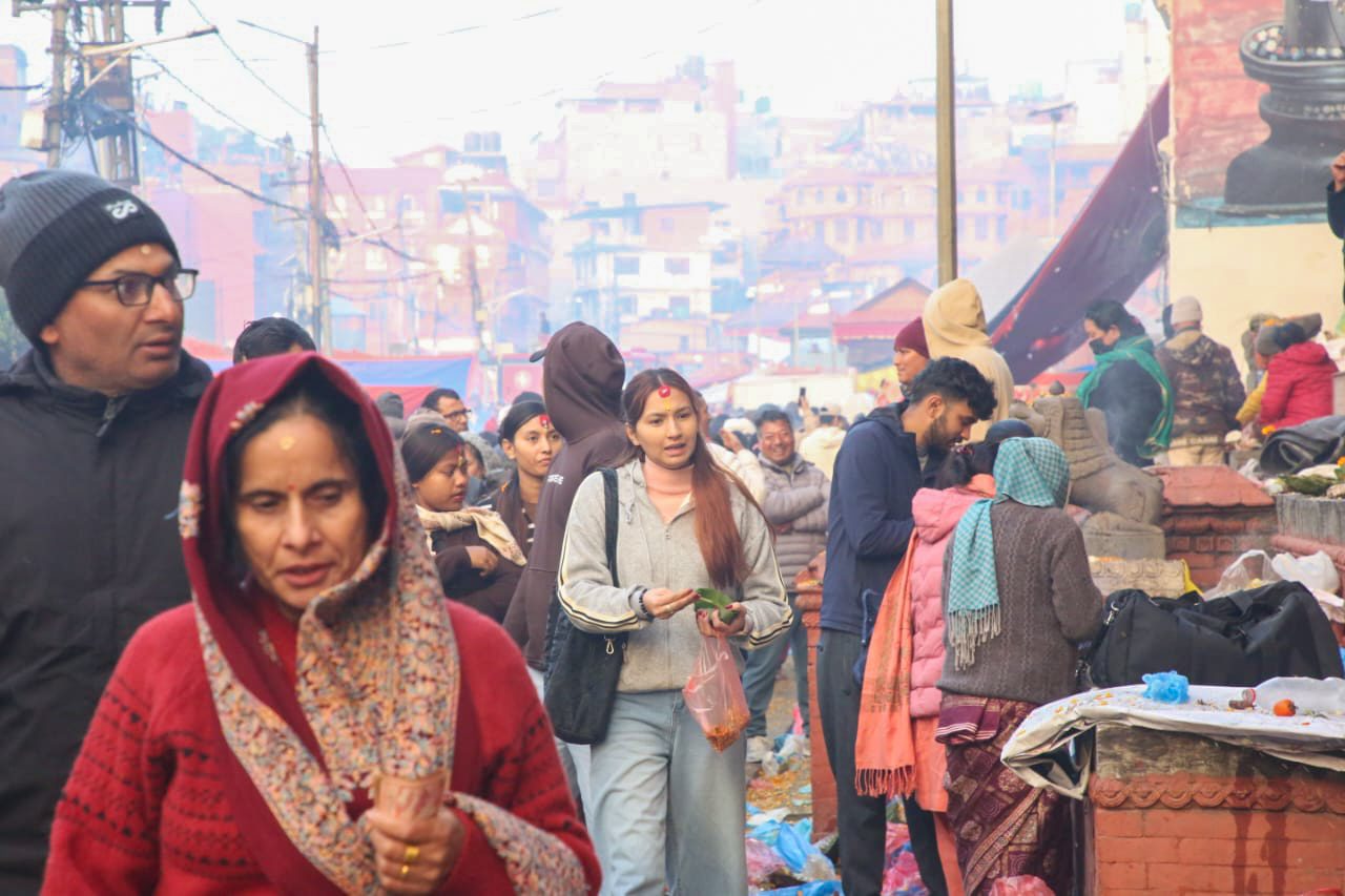 पशुपतिमा शतबीज छर्नेको घुइँचो (तस्वीरहरु)