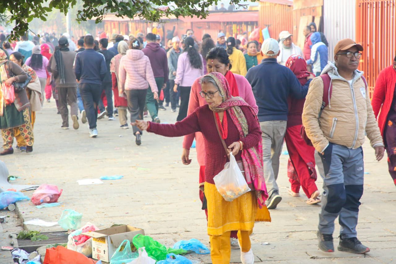 पशुपतिमा शतबीज छर्नेको घुइँचो (तस्वीरहरु)