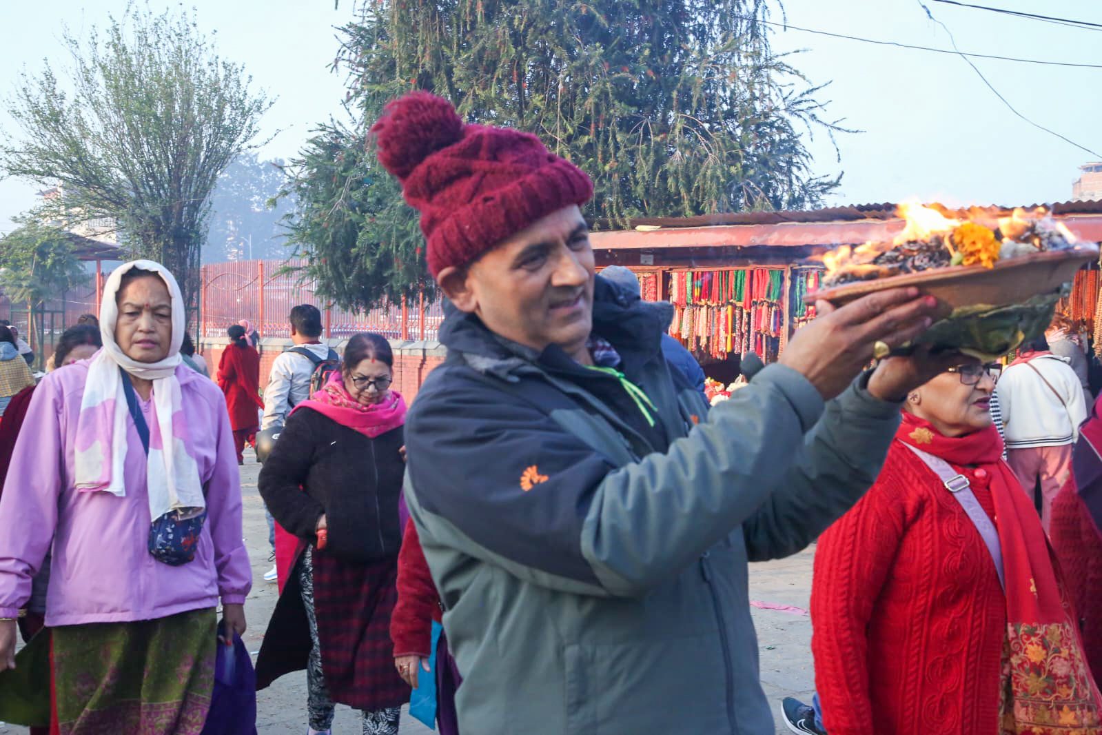 पशुपतिमा शतबीज छर्नेको घुइँचो (तस्वीरहरु)