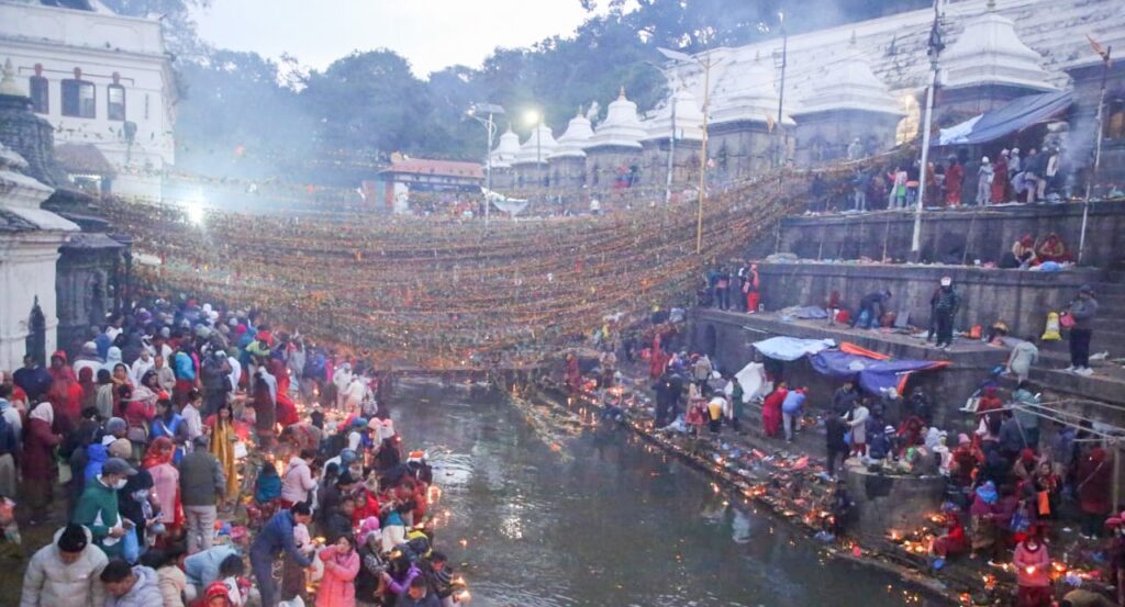 पशुपतिमा शतबीज छर्नेको घुइँचो (तस्वीरहरु)