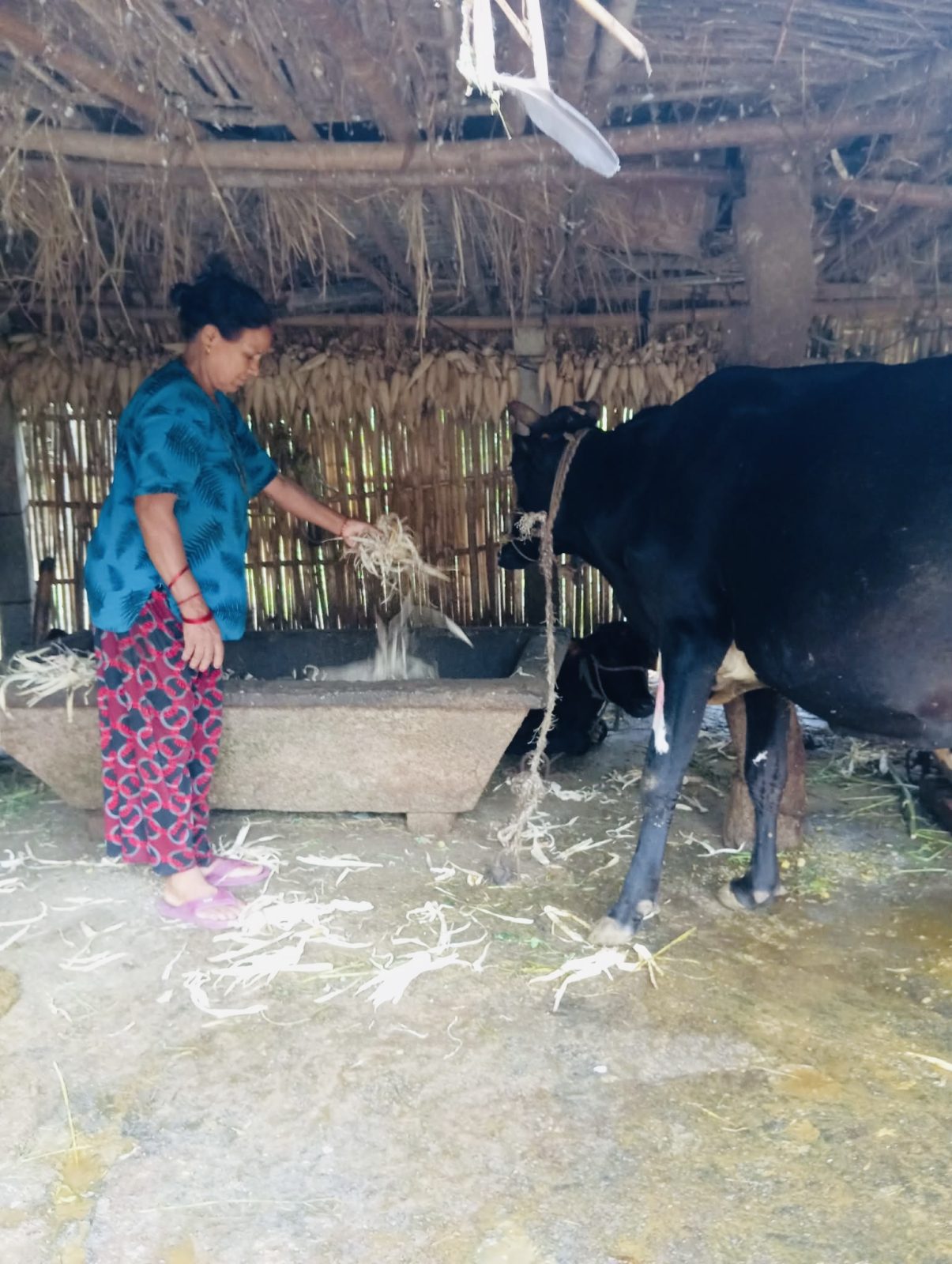 ‘सपना देख्दा पनि पुग्ने मात्र देखियो भने जीवन सहज हुुन्छ’